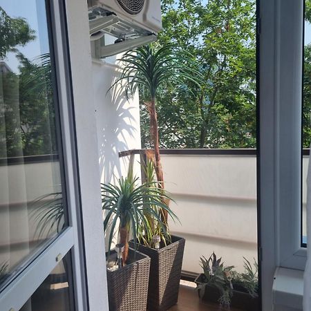 Apartman-Florianska Caşonia Exterior foto